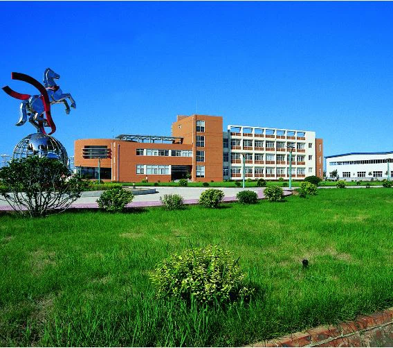 Hebei  Nanfeng  Automòbil  Equip  (Grup)  Co, Ltd